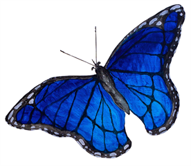 Blaue Schmetterlingsgruppe