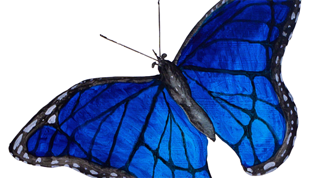 Blaue Schmetterlingsgruppe