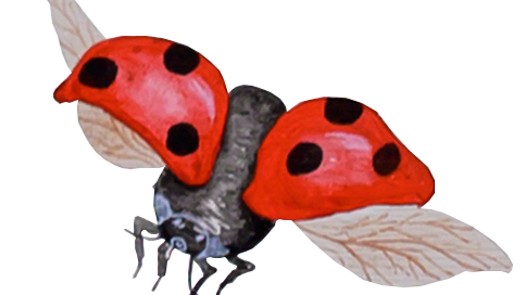 Rote Marienkäfergruppe